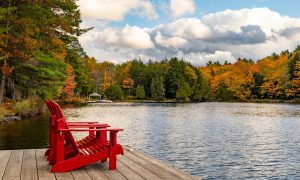 Read more about the article Top Things to Do in Muskoka