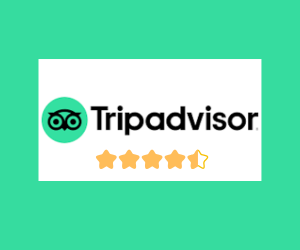 Toronto Pearson Airport Taxi reviews on tripadvisor